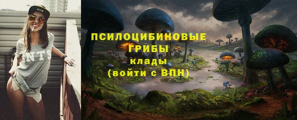бошки Осташков