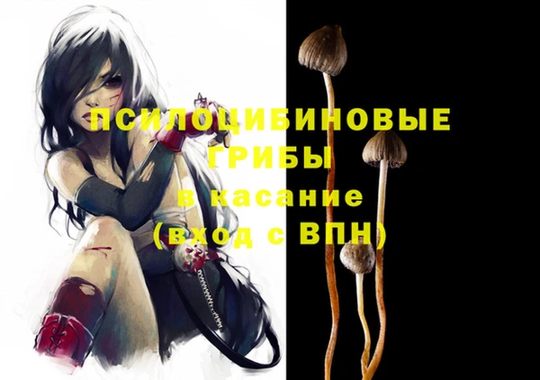 apvp Остров